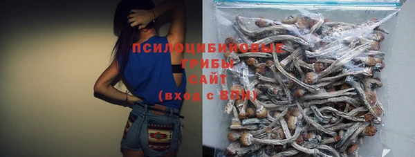 стафф Баксан