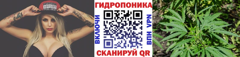 кракен ТОР  закладка  Кондрово  МАРИХУАНА конопля 